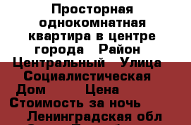 Просторная однокомнатная квартира в центре города › Район ­ Центральный › Улица ­ Социалистическая › Дом ­ 16 › Цена ­ 2 000 › Стоимость за ночь ­ 2 000 - Ленинградская обл., Санкт-Петербург г. Недвижимость » Квартиры аренда посуточно   . Ленинградская обл.